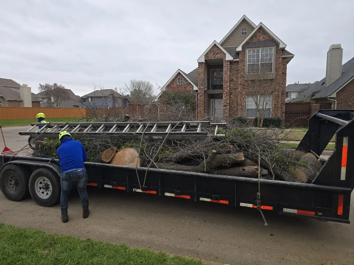 Expert Lot Clearing with proper safety equipment in Troutman